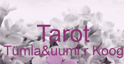 Tarot Tümlaür Koog | Top-Experten für Kartenlegen, Wahrsagen, Hellsehen, Zukunftsdeutung. Tarot Tümlaür Koog | Top-Experten für Kartenlegen, Wahrsagen, Hellsehen, Zukunftsdeutung.
